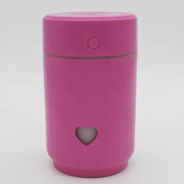 Compact Car Air Purifier/Humidifier
